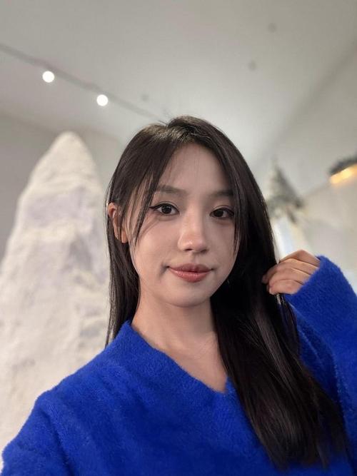 北京的电影院的相关介绍