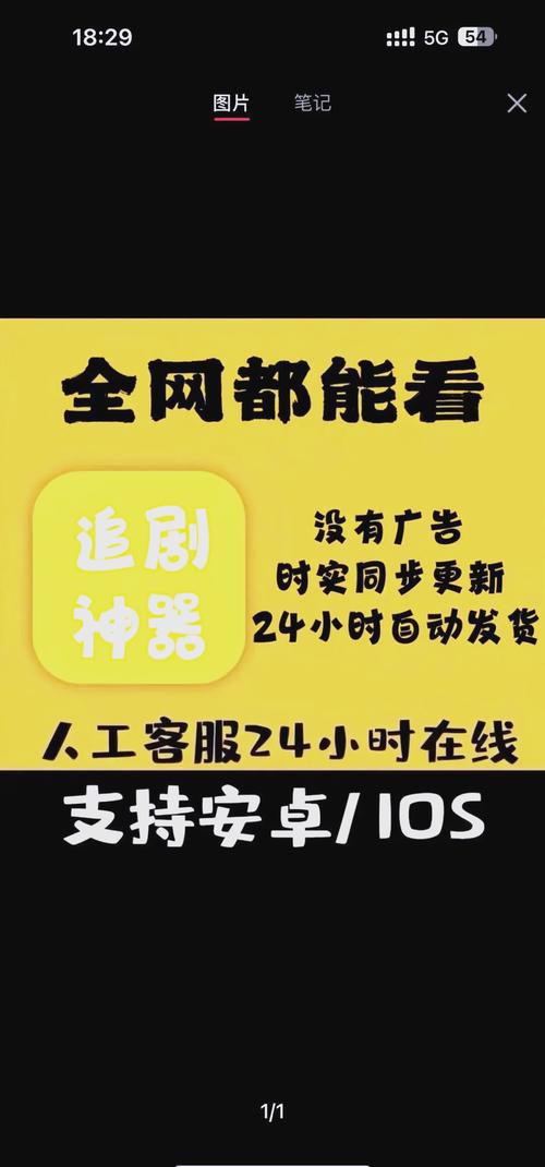 王朝影院视频观看的相关介绍