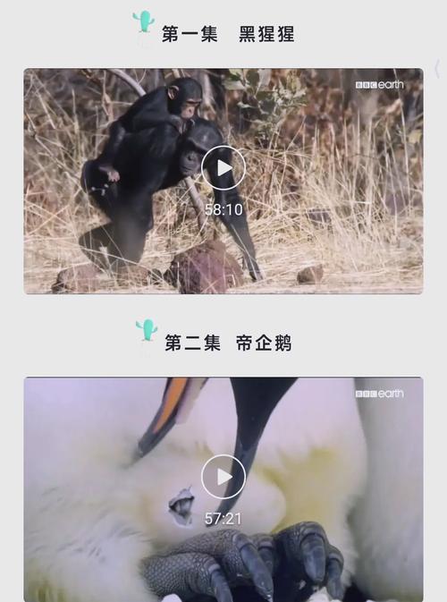 琪琪影院网2017无的相关介绍