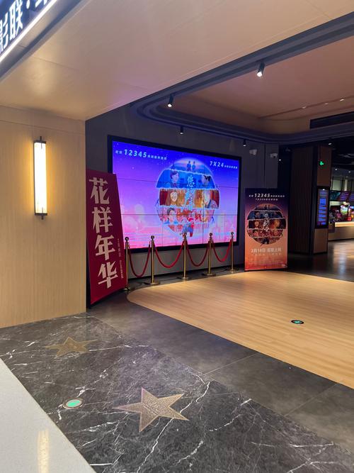 第五季电影院的相关介绍