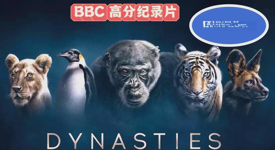 夫妻床上看的毛片的相关介绍
