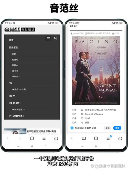 八哥影院的相关介绍