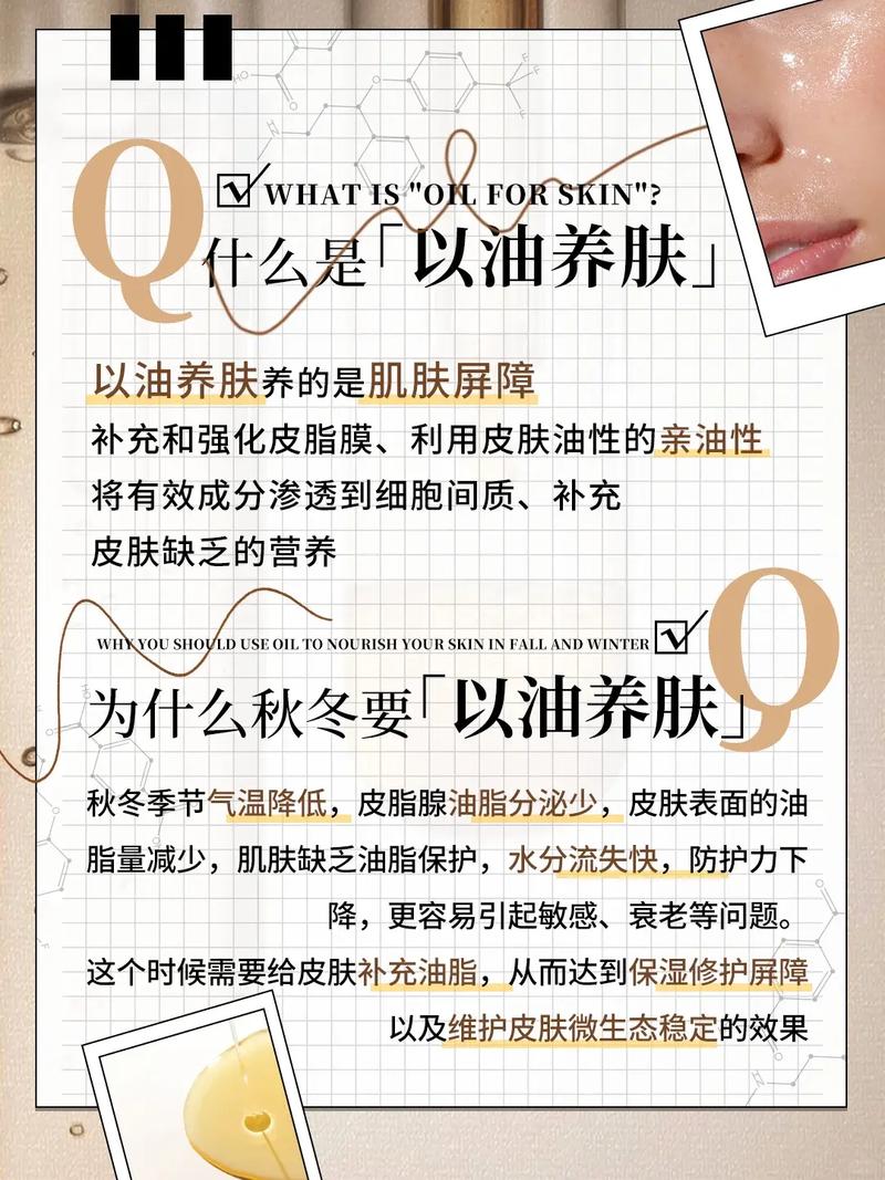 零零柒影院的相关介绍