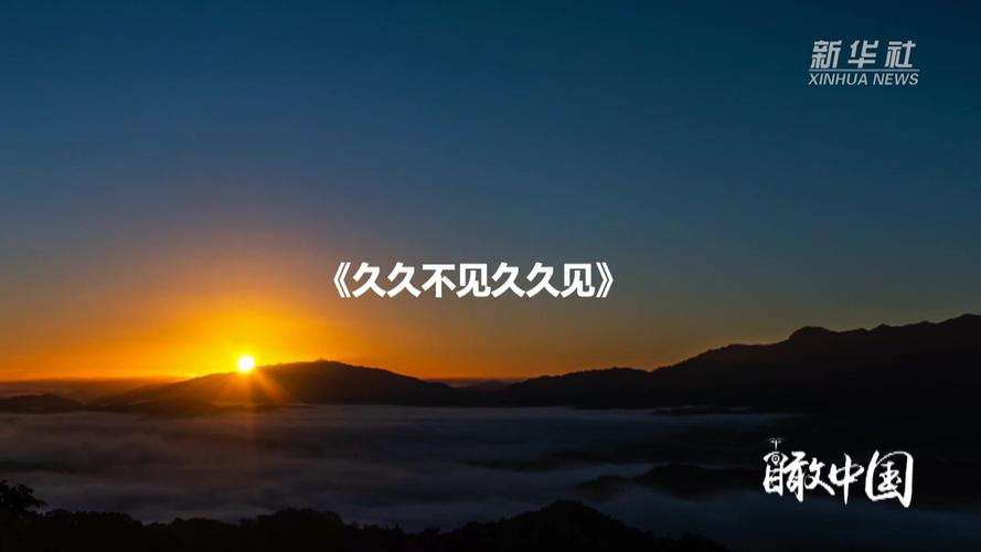 少妇操的流白浆的相关介绍