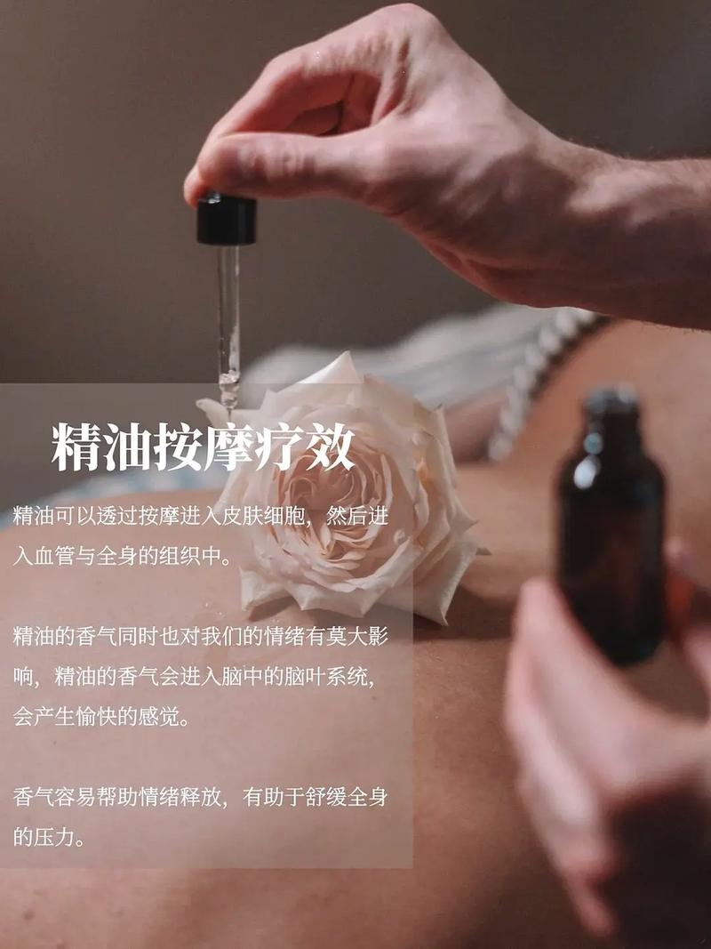 插熟女人妻在线的相关介绍