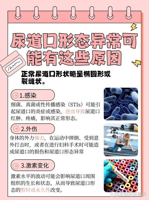 小收影院的相关介绍