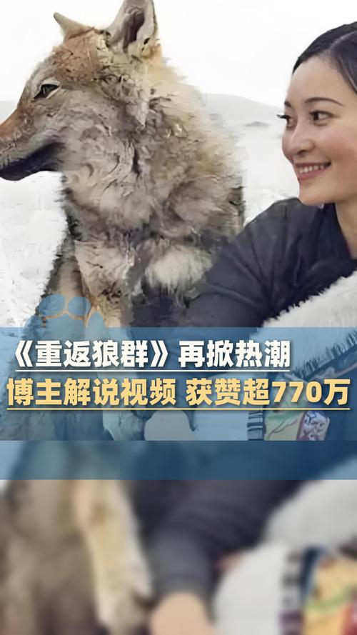 老湿影院的相关介绍
