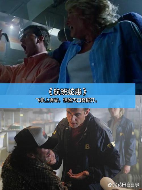快色视频下载app的相关介绍