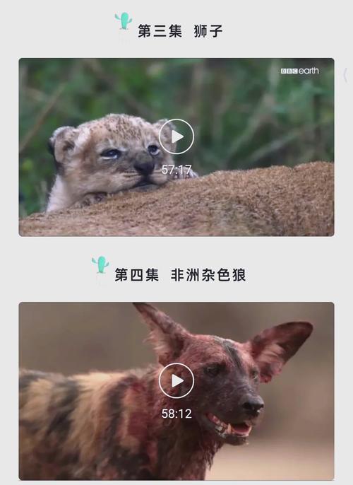 18禁止网站在线看的相关介绍