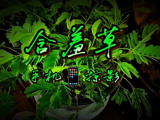 美女被我操哭的相关介绍