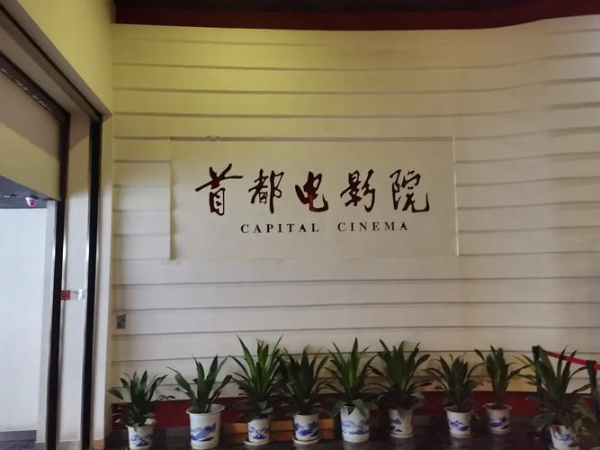 星辰影院免费追剧大全在线观看电视剧的相关介绍