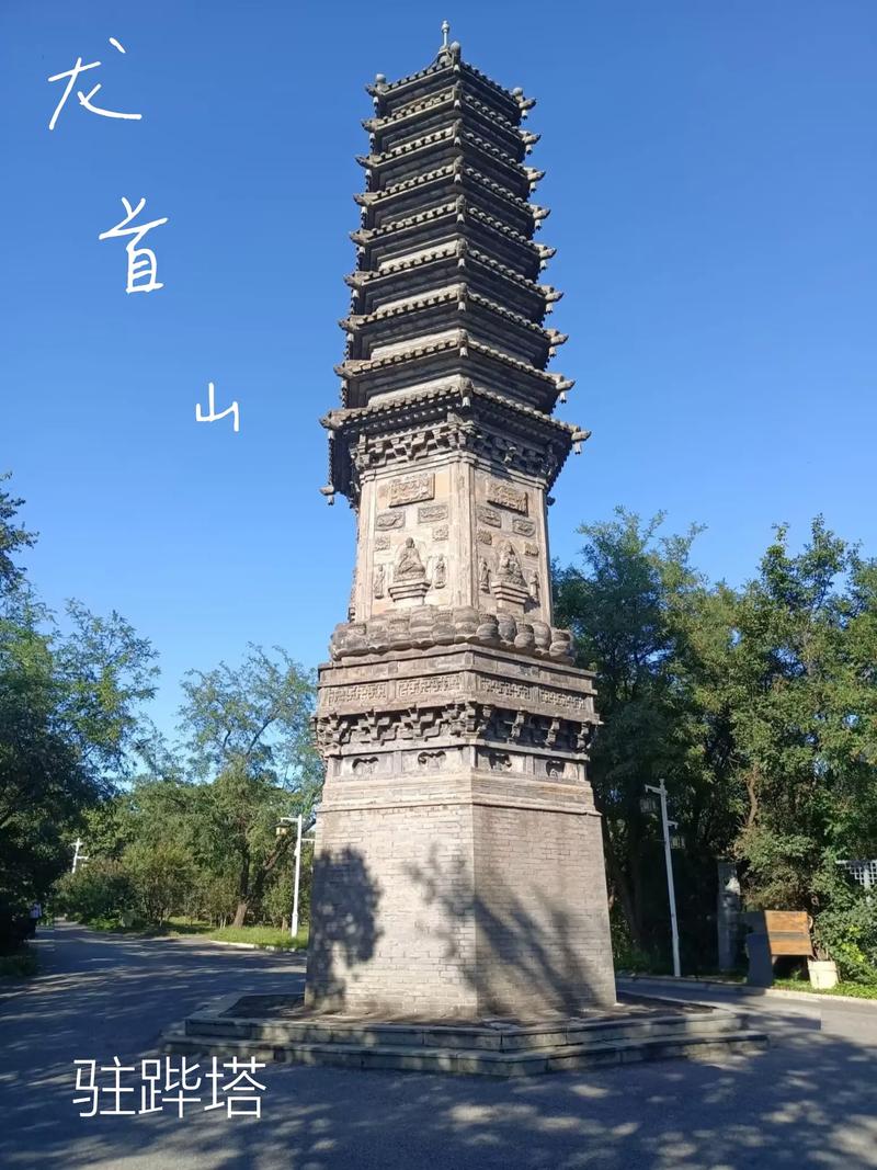 操出了白浆的相关介绍