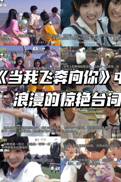 电影院上映的电影的相关介绍