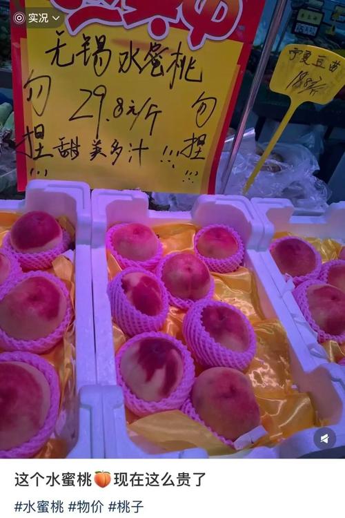 玖辛奈被c到高潮的小说的相关介绍