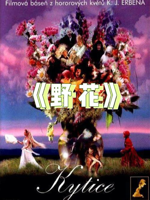 91人妻呻吟91啪的相关介绍