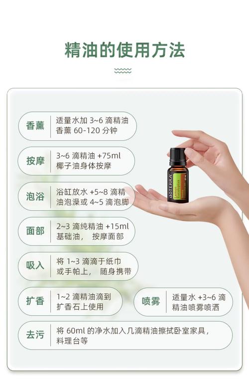 学生操美女老师的相关介绍