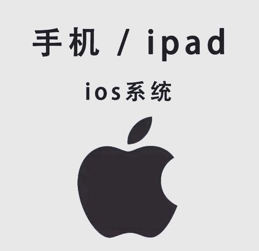 蘑菇影院的相关介绍
