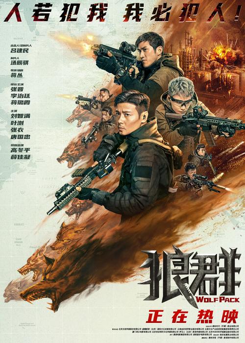 视频app下载网站进入下载的相关介绍