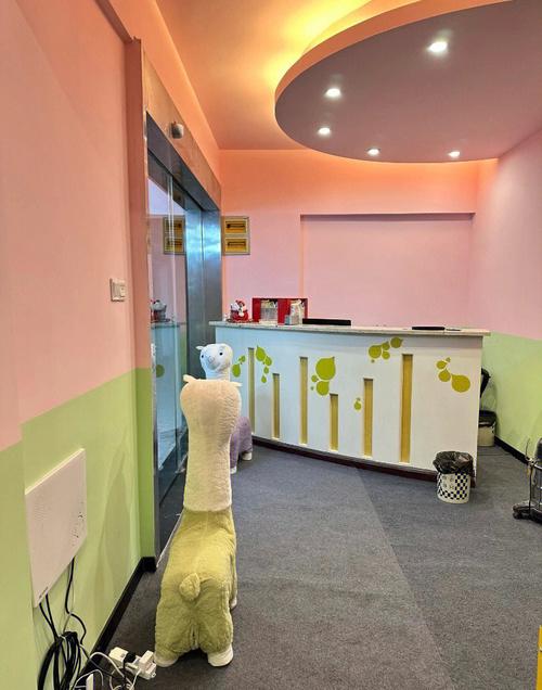 女老师 操 骚的相关介绍