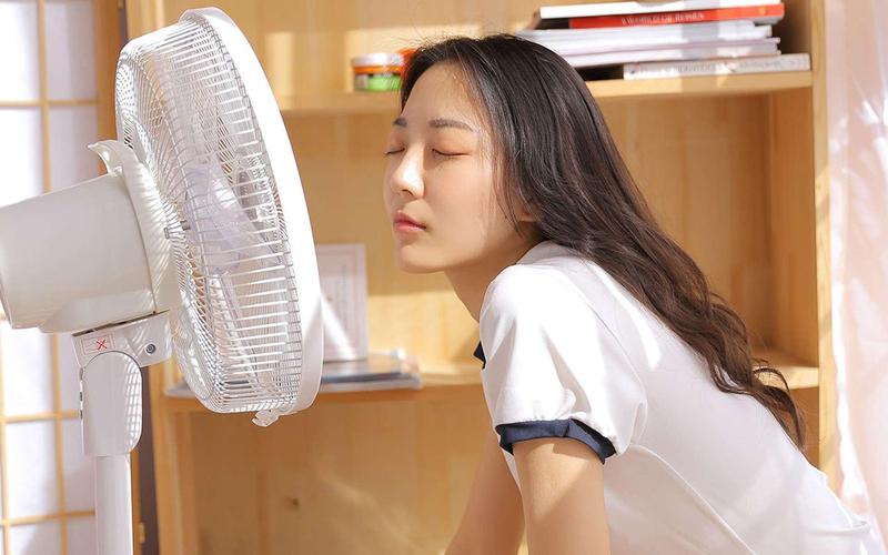 意大利顶级伦理片的相关介绍