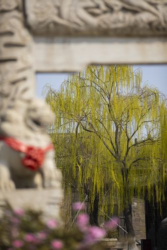 丰满人妻少妇激情av的相关介绍