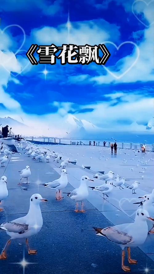 国产精品美女久久久久久不卡的相关介绍