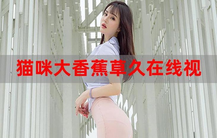 凤求凰西瓜影院的相关介绍
