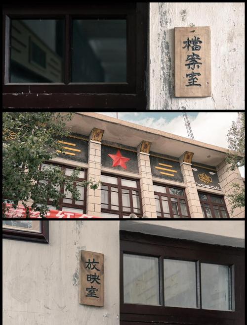 精品久久久久久国的相关介绍