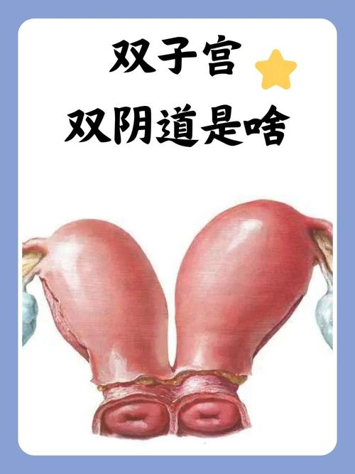 国产精品自拍色p图的相关介绍