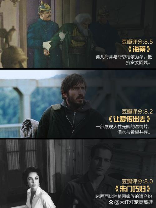 三级黑丝在线的相关介绍
