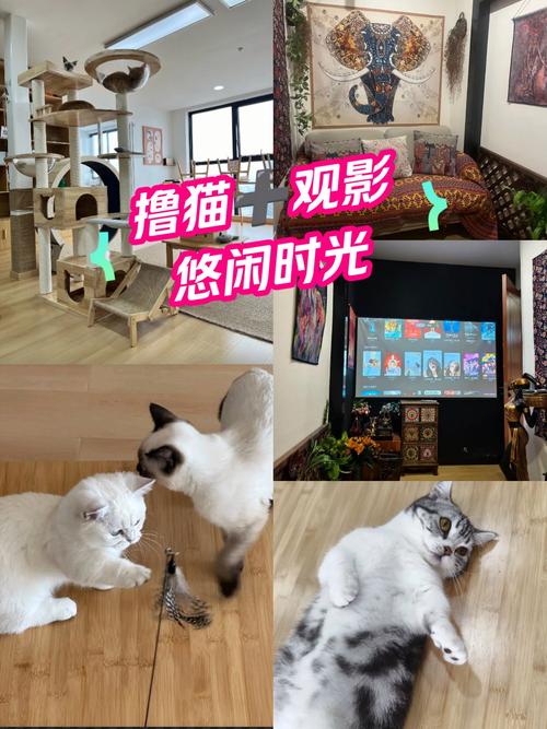 饥渴少妇亚洲的相关介绍