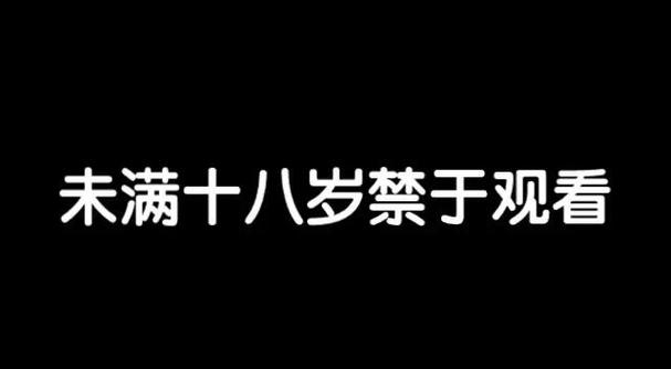 欧美亚洲一区二区三区不卡的相关介绍