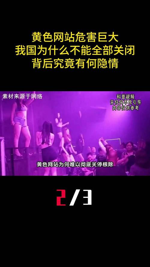 国产精品丝袜久久久久久不卡的相关介绍