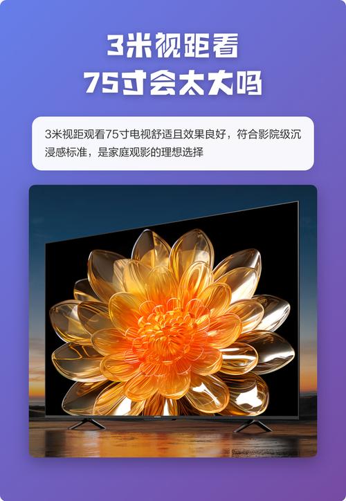电影院上映的电影的相关介绍