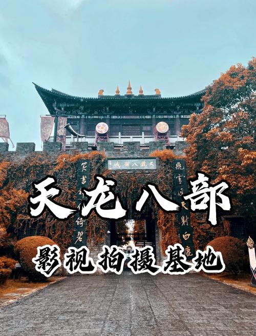 苍苍影院在线最新官方网的相关介绍