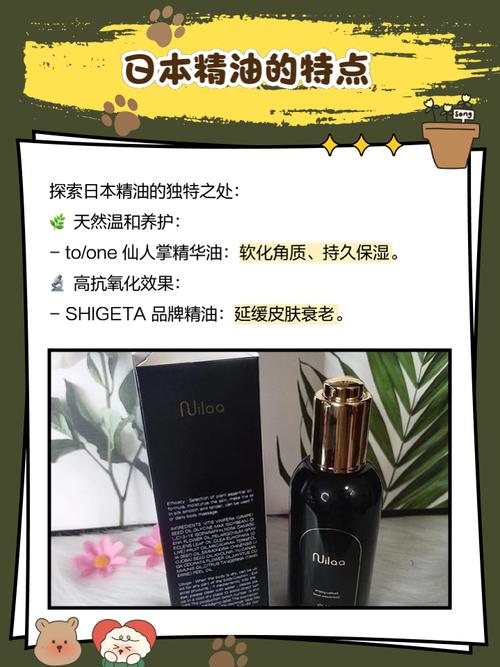 爱视频app怎么下载的相关介绍