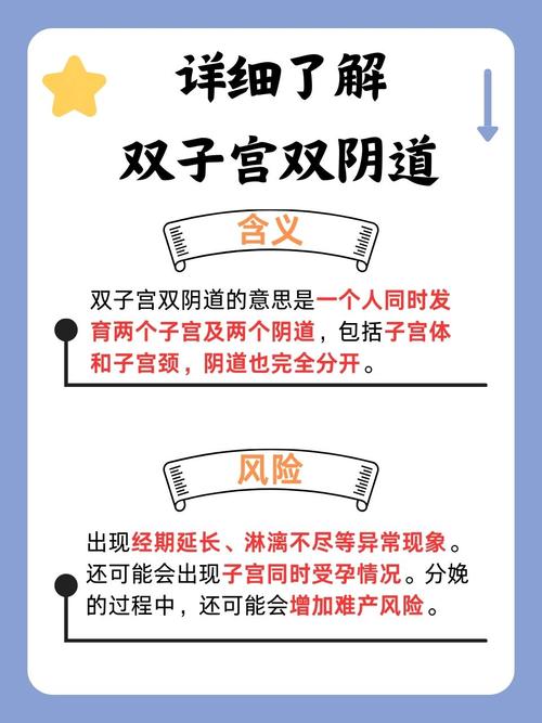 岛国岛毛片的相关介绍