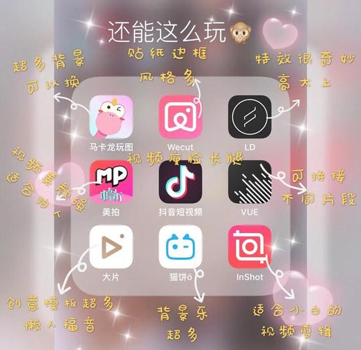 3毛片的相关介绍