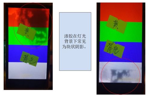 免费观看视频的app下载的相关介绍
