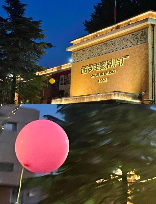 飘花影院的相关介绍