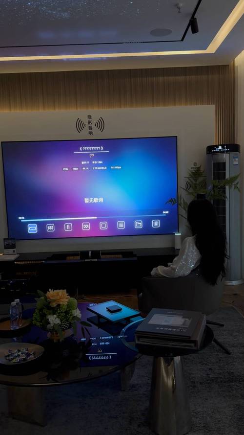欧洲成人影院的相关介绍