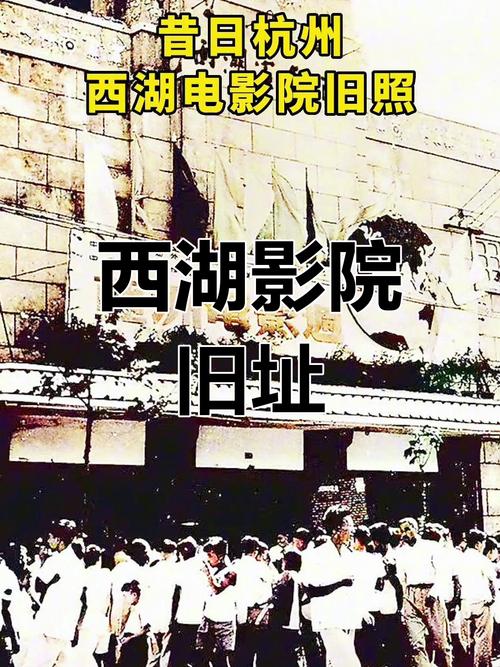 欧美一区二区免费观在线的相关介绍