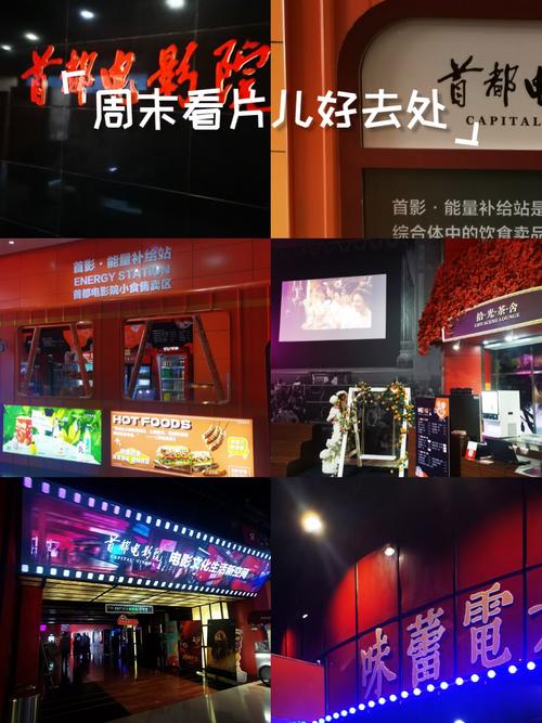 人妻少妇内射无套人妻的相关介绍