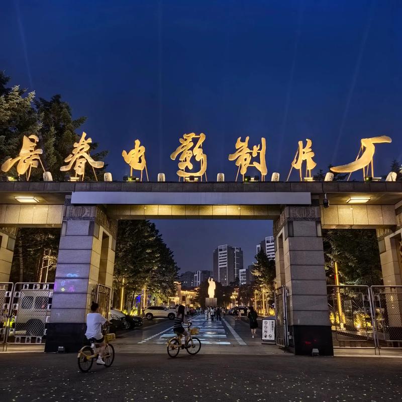 夫妻啪啪毛片的相关介绍