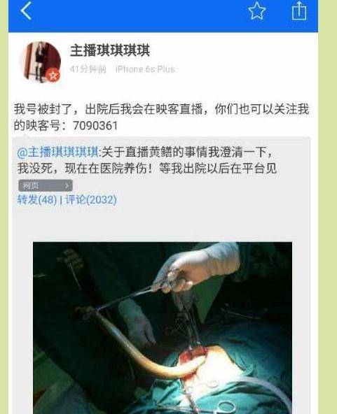 国产爱情毛片的相关介绍