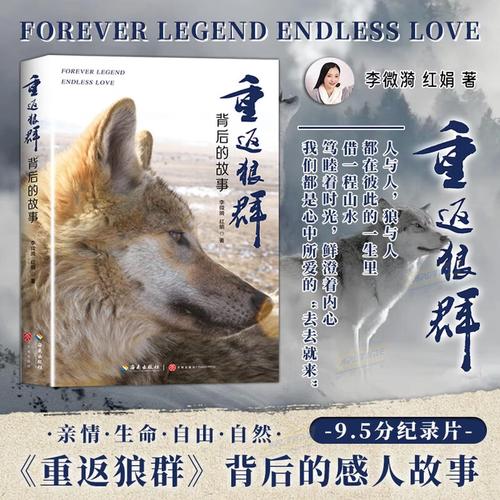 97极品影院的相关介绍