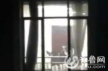 意大利 情色的相关介绍