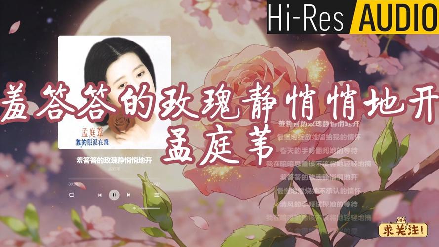 飘花电影院午夜伦的相关介绍