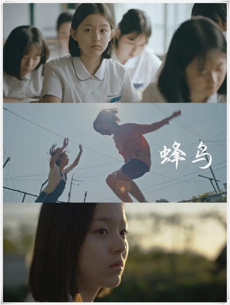 汽车电影院的相关介绍