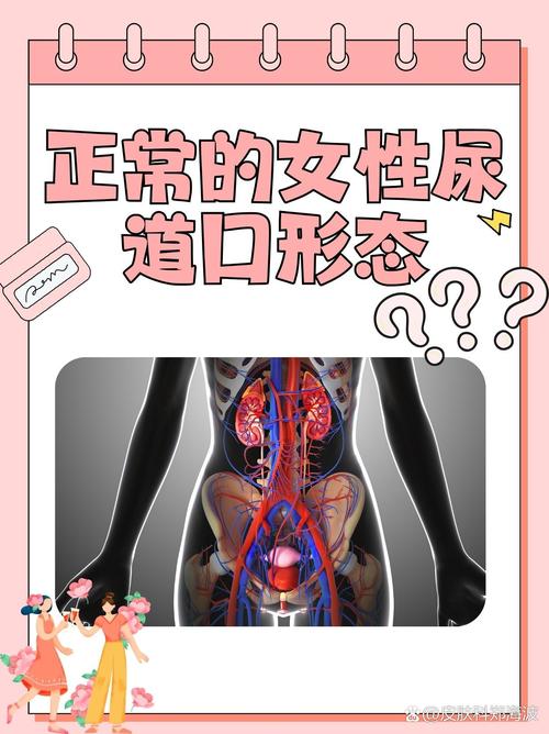 色色影院的相关介绍